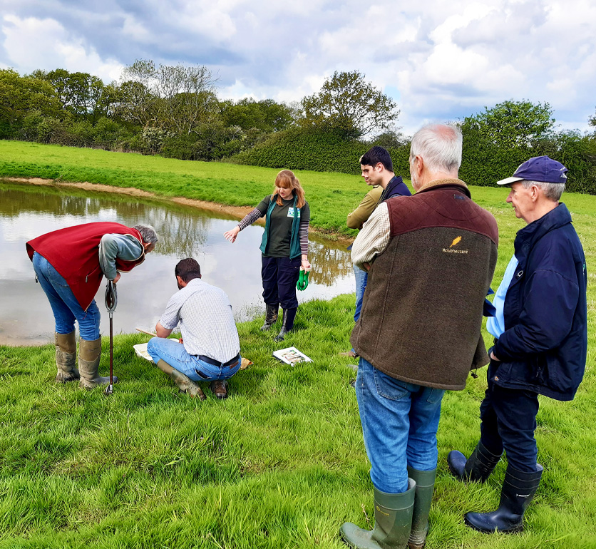 Image of farmers from the farmer cluster stood near a pond looking at the grassy area on the bank.
