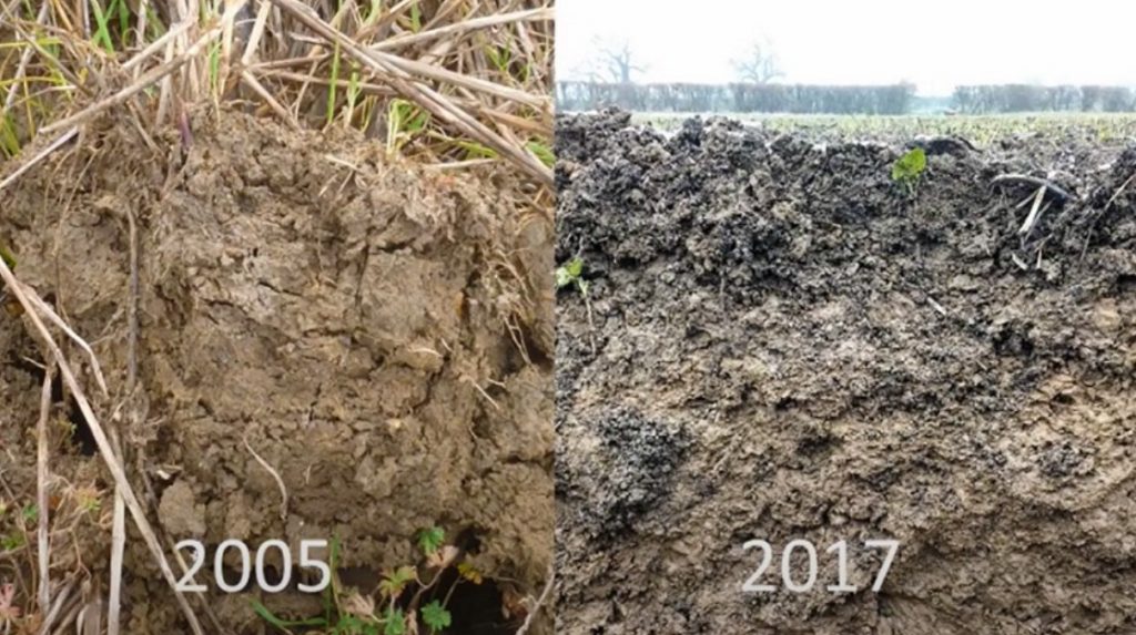 Image showing soil structure improvement over 12 years in Kent farmland, UK