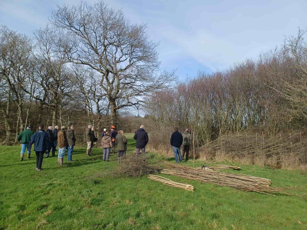 A group of people standing in a field for a Healthy Hedgerows workshop with Megan Gimber.