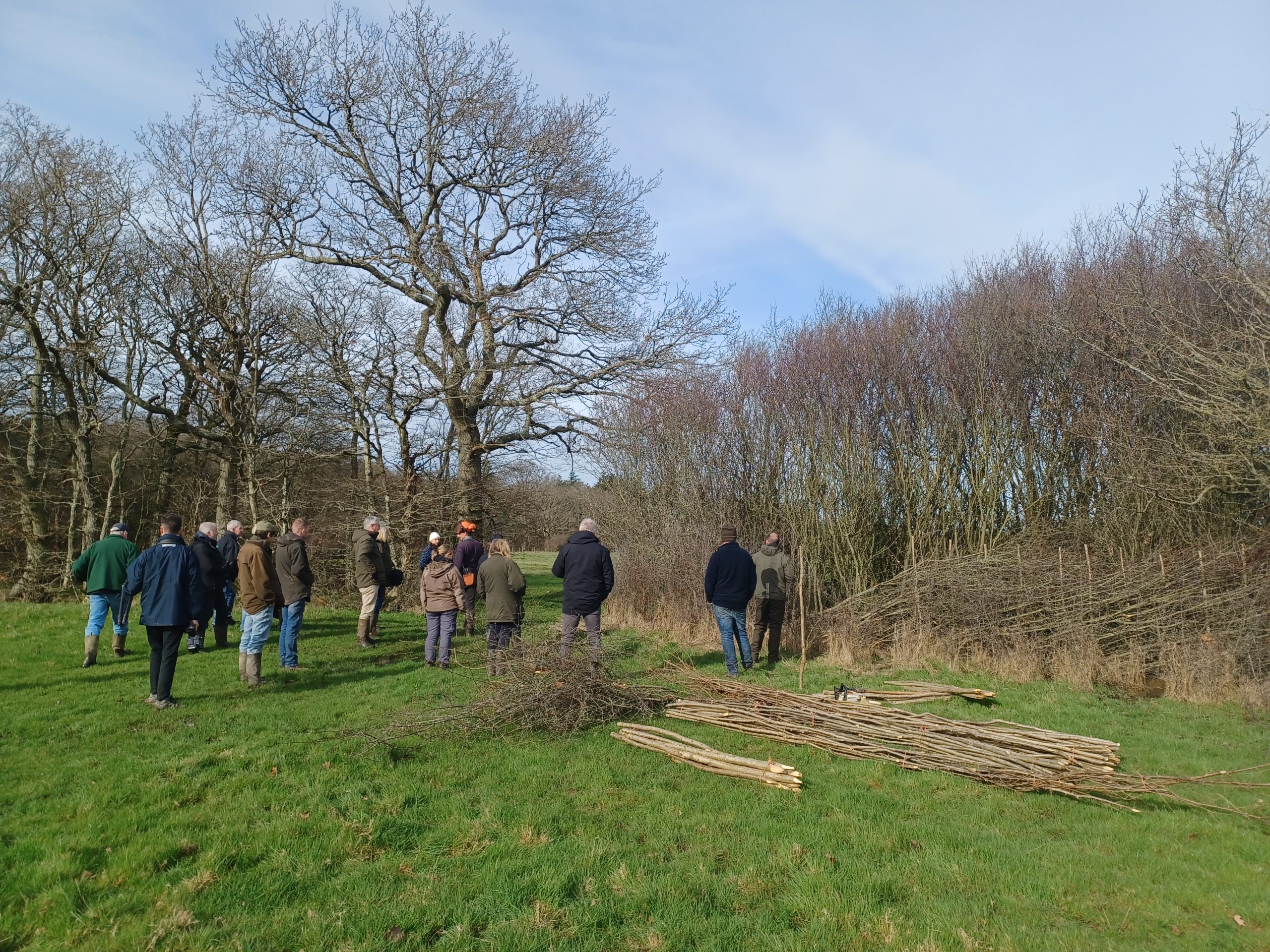 A group standing in a field for a Healthy Hedgerows workshop.