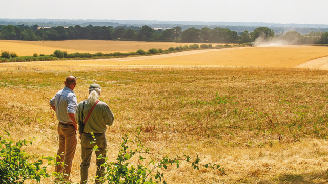 Farming at the sweet spot